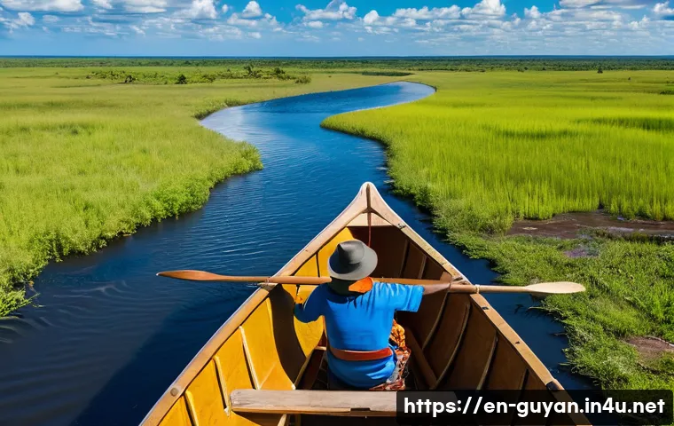 Unlock Guyana's Wild Side: The Local Guide Secrets You Can't Miss 4 가이아나 로컬 가이드 이용 관련 이미지 2